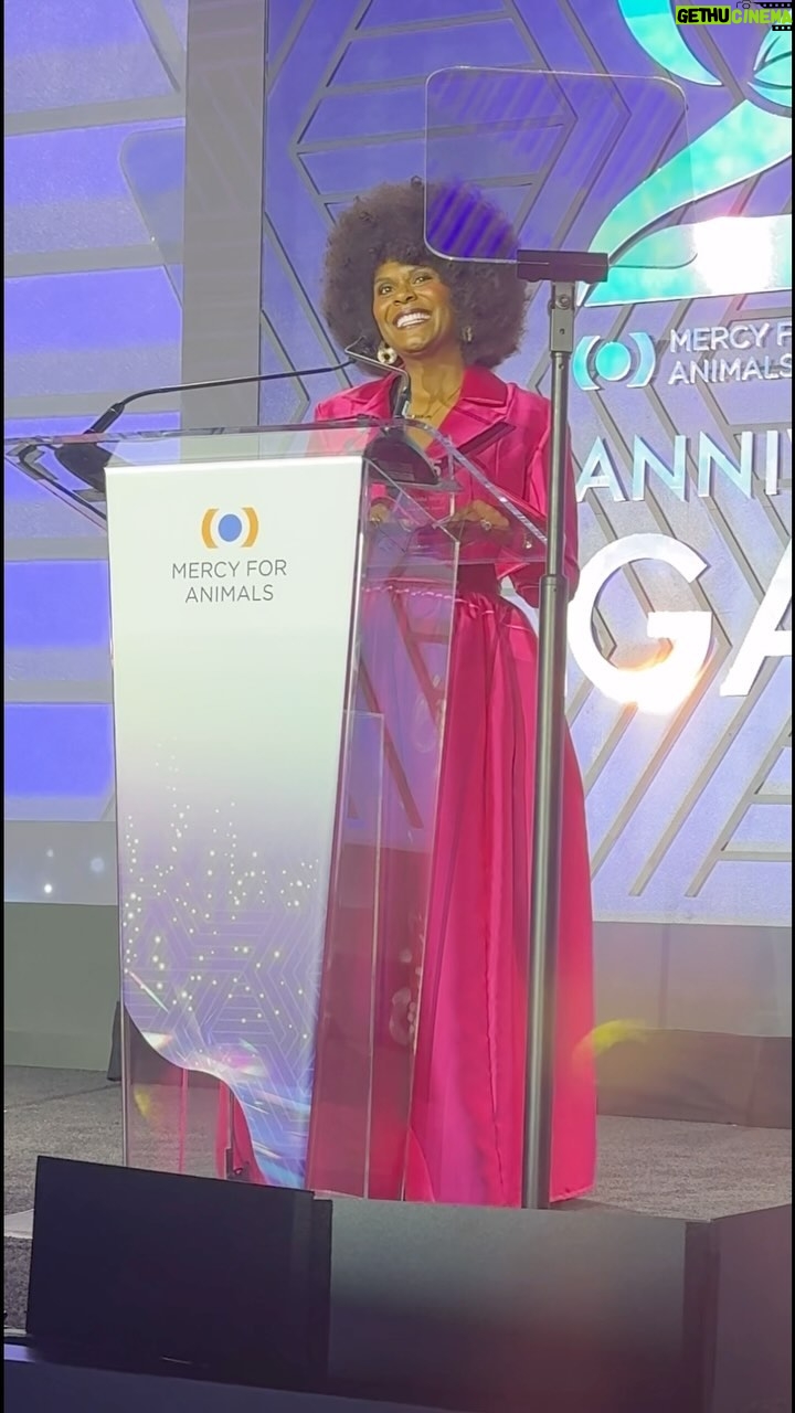 Tabitha Brown Instagram - Last night was beautiful 🙏🏾. I’m so grateful to have received the Love and Light award❤️. Thank you so much for this honor @mercyforanimals ❤️ #tabithabrown #spreadlove
📸 @tifftylerfilm