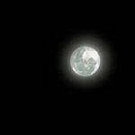 Alinne Moraes Instagram – 🌕 🐈