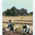 Rachel Cook Instagram – Happy earth day, Earth! Here’s to regeneration babyyy! Because without you 🌎, there’s no me. But without me, there’s still you. 😂 Get ready for farm girl mode! 😜 #earthday#regeneration#syntropy#syntropic#agroforestry#regerative#savesoil