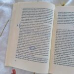 Clara Galle Instagram – Un soliloquio es una reflexión interior o en voz alta y a solas. Sí que estoy sola y loca cuando me hablo a mí misma por las mañanas y el cielo viste aún una franja rosa. La planta mira triste y mustia cómo primero echo agua a la cafetera. ¿Cuántas frases tendré aferradas en el estómago porque las mariposas no las quieren soltar? 
Viajo en tren porque ahí pienso más. Tomar el tren es como colocar el marca páginas al tiempo, cerrar la tapa y dejar descansar la vida ahí, hasta llegar a mi estación y retomar el libro.
¿Qué pasaría si en los ríos hubiera olas? A veces me gustaría convertir las frases estridentes que hacen algunas personas en el sonido del agua entre las rocas. 
Mi espejo es un lago y ahí es donde veo mis peces y mis algas. 
¿Las rocas se ponen de acuerdo para formar huecos perfectos por donde vislumbrar el cielo? 
“Ojalá poder fijar cada momento con un esfuerzo supremo. “
– C✨