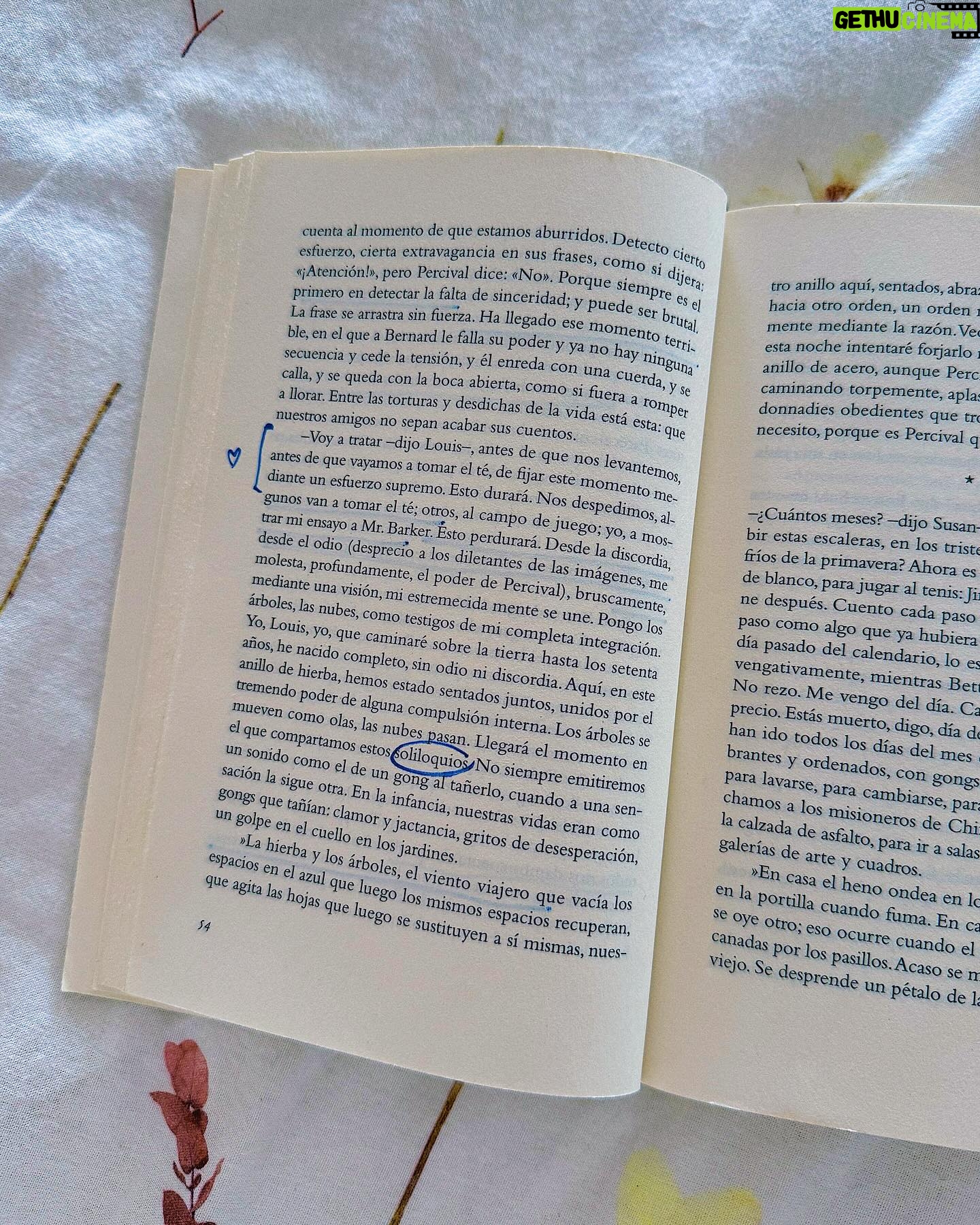 Clara Galle Instagram - Un soliloquio es una reflexión interior o en voz alta y a solas. Sí que estoy sola y loca cuando me hablo a mí misma por las mañanas y el cielo viste aún una franja rosa. La planta mira triste y mustia cómo primero echo agua a la cafetera. ¿Cuántas frases tendré aferradas en el estómago porque las mariposas no las quieren soltar?
Viajo en tren porque ahí pienso más. Tomar el tren es como colocar el marca páginas al tiempo, cerrar la tapa y dejar descansar la vida ahí, hasta llegar a mi estación y retomar el libro.
¿Qué pasaría si en los ríos hubiera olas? A veces me gustaría convertir las frases estridentes que hacen algunas personas en el sonido del agua entre las rocas.
Mi espejo es un lago y ahí es donde veo mis peces y mis algas.
¿Las rocas se ponen de acuerdo para formar huecos perfectos por donde vislumbrar el cielo?
“Ojalá poder fijar cada momento con un esfuerzo supremo. “
- C✨