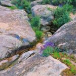 Clara Galle Instagram – Un soliloquio es una reflexión interior o en voz alta y a solas. Sí que estoy sola y loca cuando me hablo a mí misma por las mañanas y el cielo viste aún una franja rosa. La planta mira triste y mustia cómo primero echo agua a la cafetera. ¿Cuántas frases tendré aferradas en el estómago porque las mariposas no las quieren soltar? 
Viajo en tren porque ahí pienso más. Tomar el tren es como colocar el marca páginas al tiempo, cerrar la tapa y dejar descansar la vida ahí, hasta llegar a mi estación y retomar el libro.
¿Qué pasaría si en los ríos hubiera olas? A veces me gustaría convertir las frases estridentes que hacen algunas personas en el sonido del agua entre las rocas. 
Mi espejo es un lago y ahí es donde veo mis peces y mis algas. 
¿Las rocas se ponen de acuerdo para formar huecos perfectos por donde vislumbrar el cielo? 
“Ojalá poder fijar cada momento con un esfuerzo supremo. “
– C✨