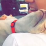 Nathalie Odzierejko Instagram - Le jour où j’ai rencontré Lola il y avait un arc en ciel. 3 jours après l’accueil de la petite loutre, il y en a un magnifique aussi… c’est un signe ? 🌈