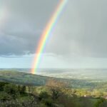 Nathalie Odzierejko Instagram - Le jour où j’ai rencontré Lola il y avait un arc en ciel. 3 jours après l’accueil de la petite loutre, il y en a un magnifique aussi… c’est un signe ? 🌈