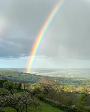 Nathalie Odzierejko Instagram - Le jour où j’ai rencontré Lola il y avait un arc en ciel. 3 jours après l’accueil de la petite loutre, il y en a un magnifique aussi… c’est un signe ? 🌈