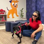 Aline Mineiro Instagram - ARRASTA PRO LADO ➡️
SEJA BEM-VINDO NINO 🥹❤️

Um neném muito especial que agora faz parte da nossa família! 
Nino é portador da síndrome do cão nadador e é o mais novo integrante, agora ele é um mineirinho 😅

Nós vamos fazer de tudo para dar a melhor qualidade de vida possível pra ele, buscando tratamentos adequados e dose extra de amor 🥰 
Quem sabe em breve o nino estará disponível para uma adoção responsável mais que especial 🥹

Obrigada @pegpetbrasil vocês são incríveis… sempre nos recebendo com todo carinho, amor e muita dedicação. 

Obrigada @jehh_araujo essa veterinária maravilhosa que nos atendeu 🙏🏼