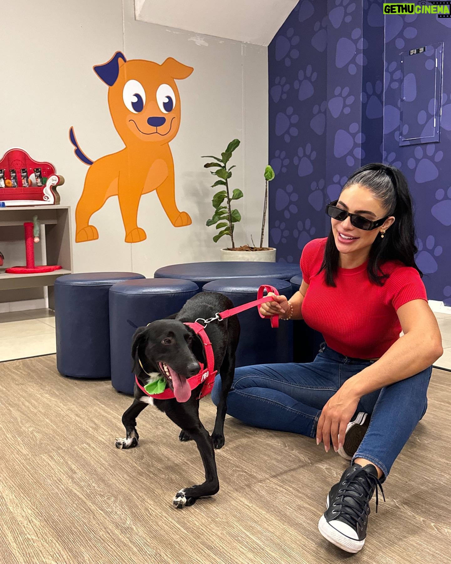 Aline Mineiro Instagram - ARRASTA PRO LADO ➡️
SEJA BEM-VINDO NINO 🥹❤️
Um neném muito especial que agora faz parte da nossa família!
Nino é portador da síndrome do cão nadador e é o mais novo integrante, agora ele é um mineirinho 😅
Nós vamos fazer de tudo para dar a melhor qualidade de vida possível pra ele, buscando tratamentos adequados e dose extra de amor 🥰
Quem sabe em breve o nino estará disponível para uma adoção responsável mais que especial 🥹
Obrigada @pegpetbrasil vocês são incríveis… sempre nos recebendo com todo carinho, amor e muita dedicação.
Obrigada @jehh_araujo essa veterinária maravilhosa que nos atendeu 🙏🏼
