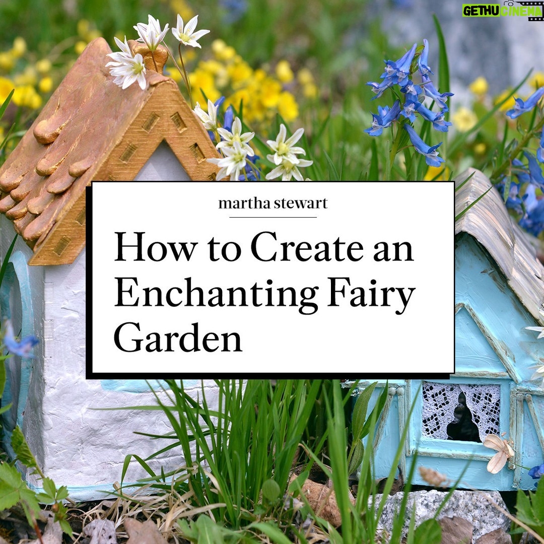 Martha Stewart Instagram - The world of fairy gardens is filled with delightful details. These pint-sized scenes are collections of miniatures—often including figures, furniture, and live plants—with a rich foundation in Germanic and Celtic folklore. But even gardeners and hobbyists who shy away from folklore appreciate the charm of these tiny setups. Creating miniature environments helps both experienced and amateur gardeners perfect their planting skills while providing an outlet for stress relief. (Added bonus: The teeny-tiny pieces of these fairy dream worlds also remind many adults of whimsical childhood play.) Head to the link in our bio to learn how to build your own fairy garden, complete with tiny figurines and furniture carefully woven from leaves and sticks.