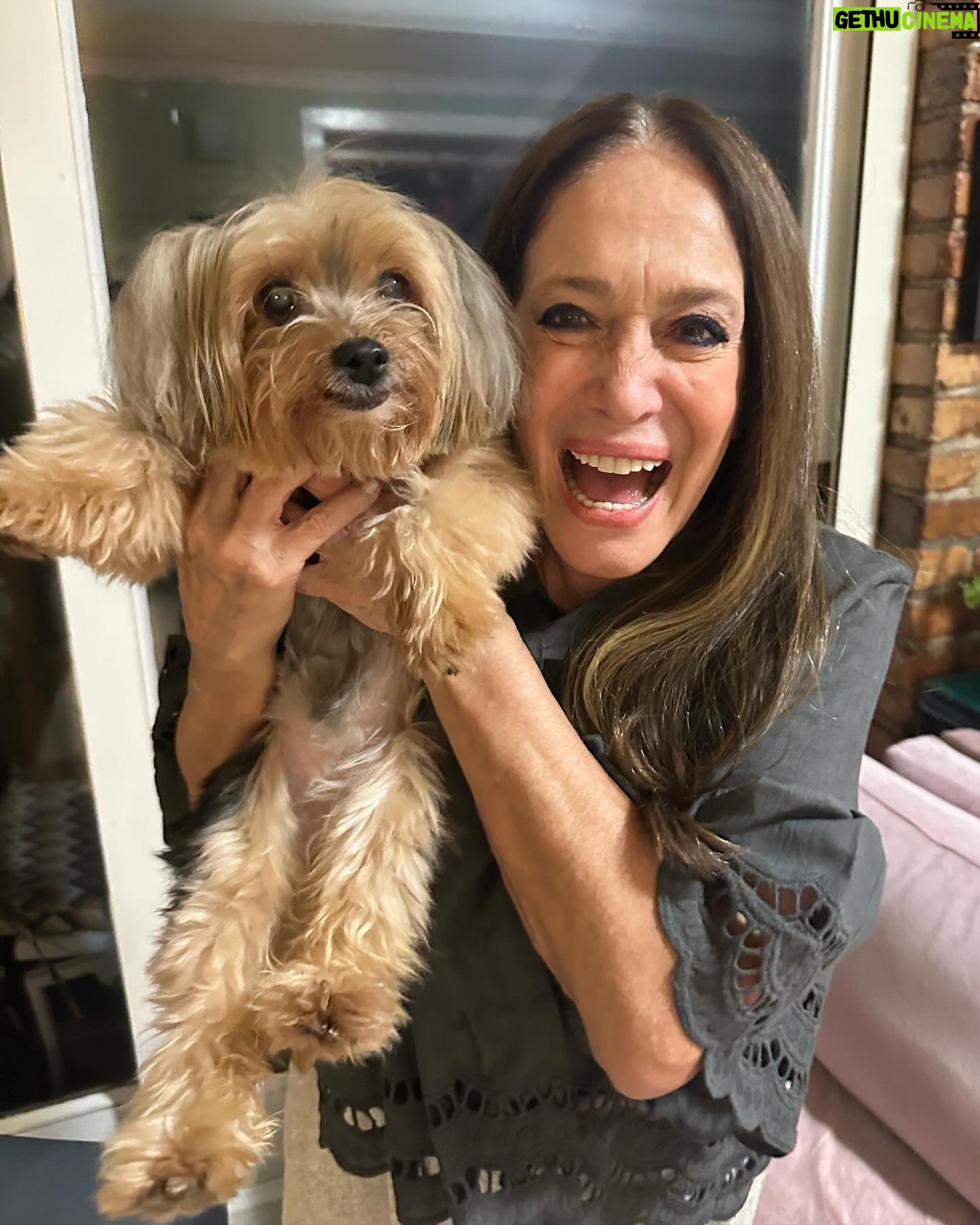 Susana Vieira Instagram - Nada melhor do que chegar em casa e ser recebida assim ❤️🥰🐶