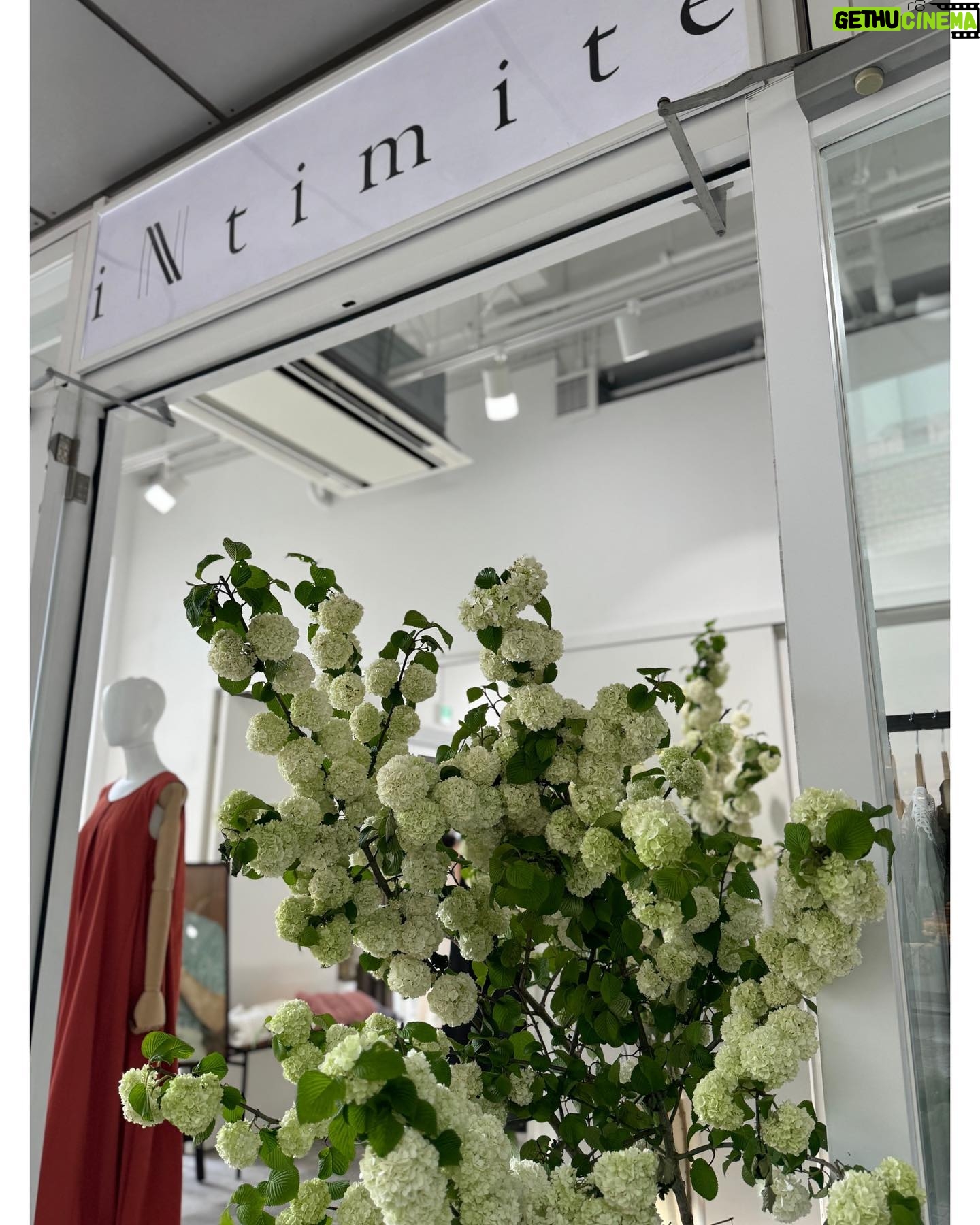 Nozomi Sasaki Instagram - .
iNtimite POP UP SHOP、
皆様、3日目もお越しいただきありがとうございました♡
明日はいよいよ最終日です😊
お待ちしています🌷