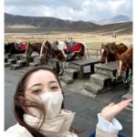 Nozomi Sasaki Instagram - .
熊本旅記録⛰️
久々の熊本！

１枚目〜3枚目
子供と一緒に阿蘇山にて乗馬体験🐎
係の方が案内してくださり、のんちゃんという名前のお馬さんに乗りました！
4枚目
#瑠璃庵 で食べた、アメリカンドッグの形をしたレンコンのドッグ？が、美味しかった😊新たな辛子レンコン！
5枚目
熊本の皆さんと、タカヒコさんワインで乾杯🍷
6枚目〜7枚目
テントサウナで整いました♨︎

また来ます熊本♡