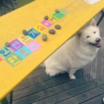 Han Hyo-joo Instagram – Make your meaningful words in HANGEUL 한글 🤍

자유와 평등, 화합의 의미가 담긴 한글은 우리 대한민국의 가장 혁신적인 문화자산입니다. 

👉🏼www.hangeulwall.org

 #HangeulWall #IkJoongKang #kccny
