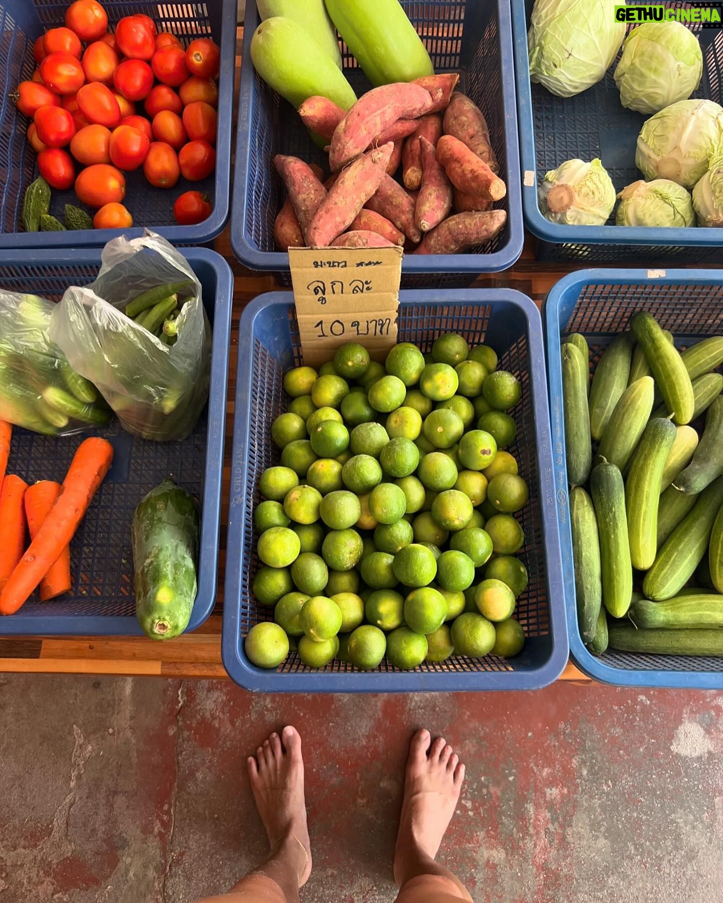 Keerati Mahapreukpong Instagram - Local grocery is da best!! 😊💛🛒🫶🏽✨ ขนมตอนเราเด็กๆเยอะมาก~ 🥴💙 #supportlocal 👧🏽🌴💕