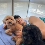 Meganne Young Instagram – 2024 has been 🫶 #BonezSobaChia

From quick trips to long afternoons in the park. There’s been a lot to be happy about 😍🎉 On another note, the love I have for the dogs has caught me by surprise. Sooo intense and still growing🥺😍 #DoubleIncomeLittleDogOwnersFTW #DecidedNotToPutDownTheAcronym 😂