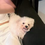 Sanya Lopez Instagram -