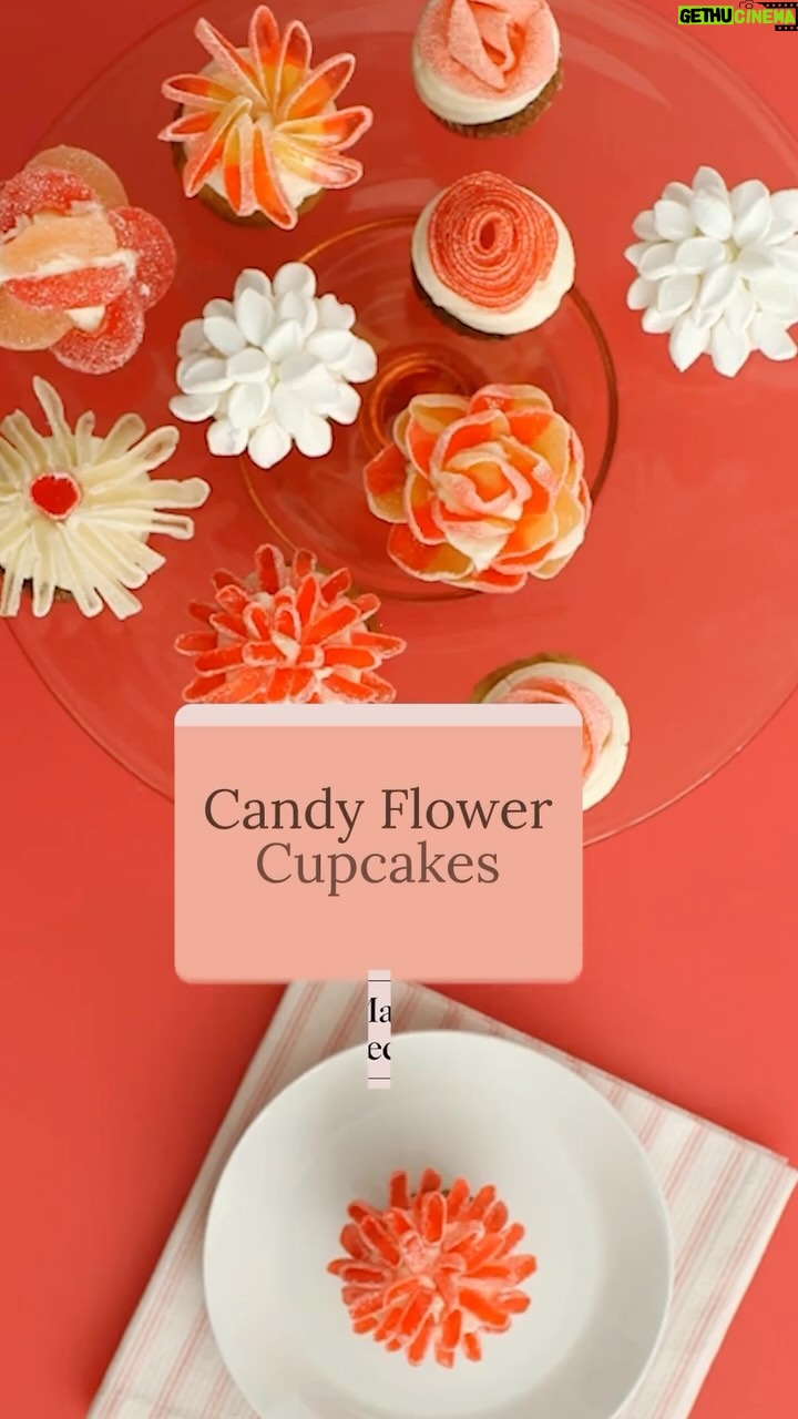 Martha Stewart Instagram - Floral cupcakes are a pretty, garden-inspired addition to spring parties, summer bridal showers, or warm-weather potlucks. But if you haven’t mastered the icing-piping techniques that result in neat, intricate petals, substitute pre-packaged candies with this easy tutorial. Follow along as #MarthaCollective Baking Expert @sarahcarey1 shares her tips for creating flower cupcakes using sour candy strips, marshmallows, and gummy peaches.