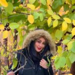 Elham Hamidi Instagram - پاییز را دوست دارم… ﭘﺎﯾﯿﺰ، ﺯﻣﺴﺘﺎﻧﯽ ﺍﺳﺖ؛ ﮐﻪ ﺗﺐ ﮐﺮﺩﻩ! ﺗﺎﺑﺴﺘﺎﻧﯽ ﺍﺳﺖ؛ ﮐﻪ ﻟﺮﺯ ﮐﺮﺩﻩ! ﺑﻐﻀﯽ ﺍﺳﺖ؛ ﮐﻪ ﺭﺳﻮﺏ ﮐﺮﺩﻩ! ﺣﺮﻓﯽ ﺍﺳﺖ؛ ﮐﻪ ﺳﮑﻮﺕ ﮐﺮﺩﻩ ! ﻣﻦ، ﺳﮑﻮﺕ ﺭﺳﻮﺏ ﮐﺮﺩﻩ ﺩﺭ ﺗﺐ ﻭ ﻟﺮﺯ ﭘﺎﯾﯿﺰ ﺭﺍ ﻣﯿﭙﺮﺳﺘﻢ! ﭘﺎﯾﯿﺰ، ﻋﺮﻭﺱ ﺗﻤﺎﻡ ﻓﺼﻞ ﻫﺎﯼ ﻣﻦ ﺍﺳﺖ . ﯾﺎﺩﻡ ﺑﺎﺷﺪ؛ ﭘﺎﯾﯿﺰ ﮐﻪ ﺭﺳﯿﺪ؛ ﻟﻪ ﻧﮑﻨﻢ؛ ﺑﺮﮔﻬﺎﯾﯽ ﺭﺍ ﮐﻪ ﺭﻭﺯﯼ ﻫﺰﺍﺭﺍﻥ ﺑﺎﺭ ﻧﻔﺲ ﺍﺭﺯﺍﻧﯽ ﺍﻡ ﻣﯽ ﻛﺮﺩﻧﺪ …!!!
#پاییز
#الهام حمیدی