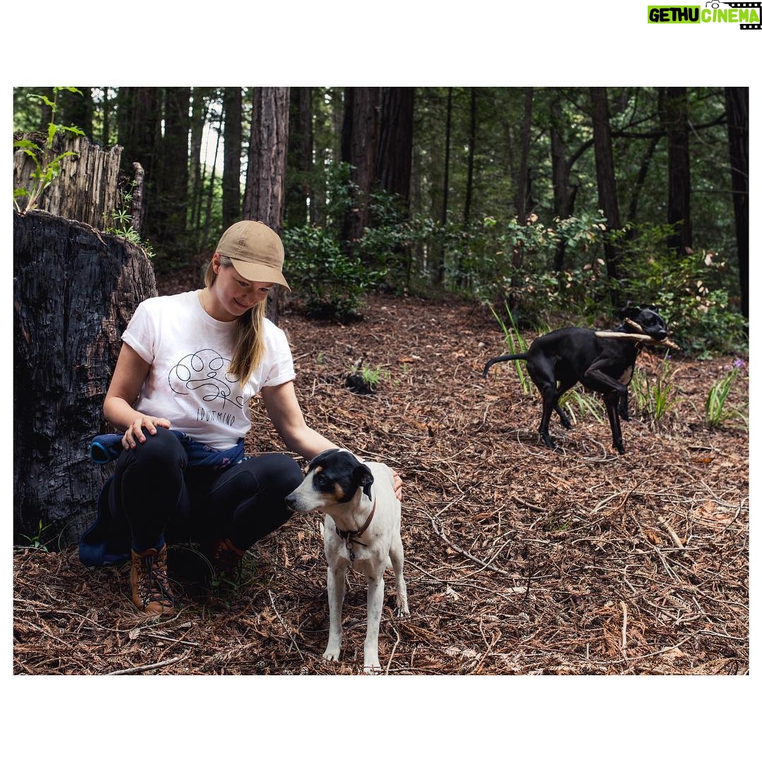 Melissa Benoist Instagram - This #mentalhealthmonth I’m joining @idontmind in saying that our minds matter, and we need to talk about them.
The thought I have most often now when I have anxiety or depression is that I just want peace. Peace of mind, peace from the stressors in my life, from the self hate I tend to give myself. As easier said than it is done (especially in today’s world), I think I feel the best and the most myself when I strip everything away and look at myself plainly and honestly—that means chucking my electronics in a drawer for a bit, taking things a step at a time, and making the active choice to say #idontmind who I am in this very moment, and I want to be a part of the world around me. ♥️◾️