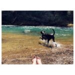 Melissa Benoist Instagram - oregon rivers with drifty boy