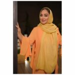 Elham Hamidi Instagram -