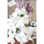 Sare Bayat Instagram - عشق خاله
من برای تو نفس میکشم
قلب من با نفس تو می تپه
عمر من کادوی توست
از هدیه قشنگت ممنونم❤