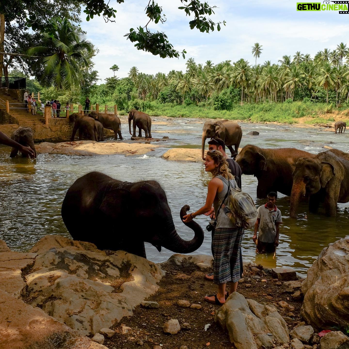 Burcu Biricik Instagram - Bazı gidip gördüğün yerler vardır üstünden ne kadar zaman geçerse geçsin anıları hep capcanlıdır Sri Lanka da öyle bi yer benim için. Sri Lanka maceramızı seturday.com a yazdım. Gitmek isteyenler merak edenler nereyi görmek, nerede yemek lazım diyenler yazimi seturday.com dan okuyabilir hatta siz de aynı platformda yer alabilirsiniz.
Platforma üye ol “yazar ol” fonksiyonu ile seyahat yazılarınızı paylaş 😊
#seturday #gezginlerinsosyalplatformu
@seturdaycom 🎈