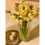 Narges Mohammadi Instagram - نرگس