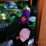 Asami Mizukawa Instagram – 茄子になって目からビーム