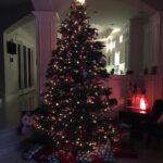 A.J. Cook Instagram – Merry Christmas to all, and to all a goodnight.