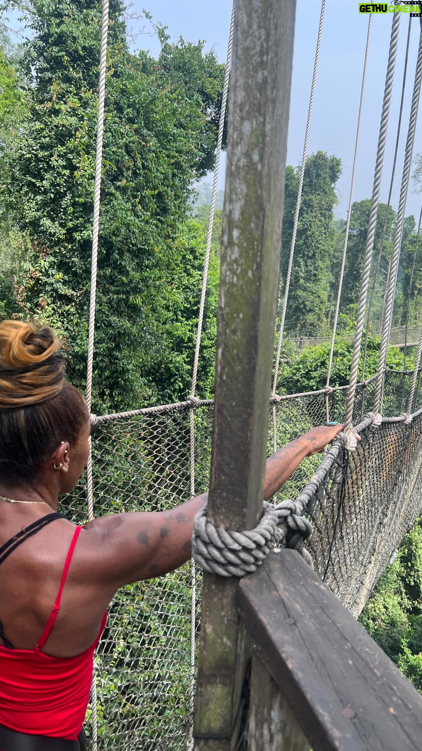 A.J. Johnson Instagram - GHANA!!!❤️🇬🇭 THE AJ AKUA REBIRTH RETREAT is all about breakthroughs!!! Releasing what did NOT work in your year we leave behind? Centuries ago this was the route of hundreds of miles enslaved Africans were walked on the way to the dungeons and slave ships. Now- it is a jungle accessed mainly by hiking the treetops. A sacred place where I go annually to tell the ancestors they are not forgotten. I ALWAYS leave with more… more power- more belief in myself less fear… EVERY retreat someone shifts soul deep here… and the elevation begins!!! @syleecia and @steykine released fear 🥹🙌🏾🚦🚀 THE AJ AKUA REBIRTH RETREAT DEC 30-JAN 7, Ghana You coming with us??😝🙌🏾 Email theajzoneretreats@gmail.com for details #kankumnationalpark #Ghana #retreat #fear