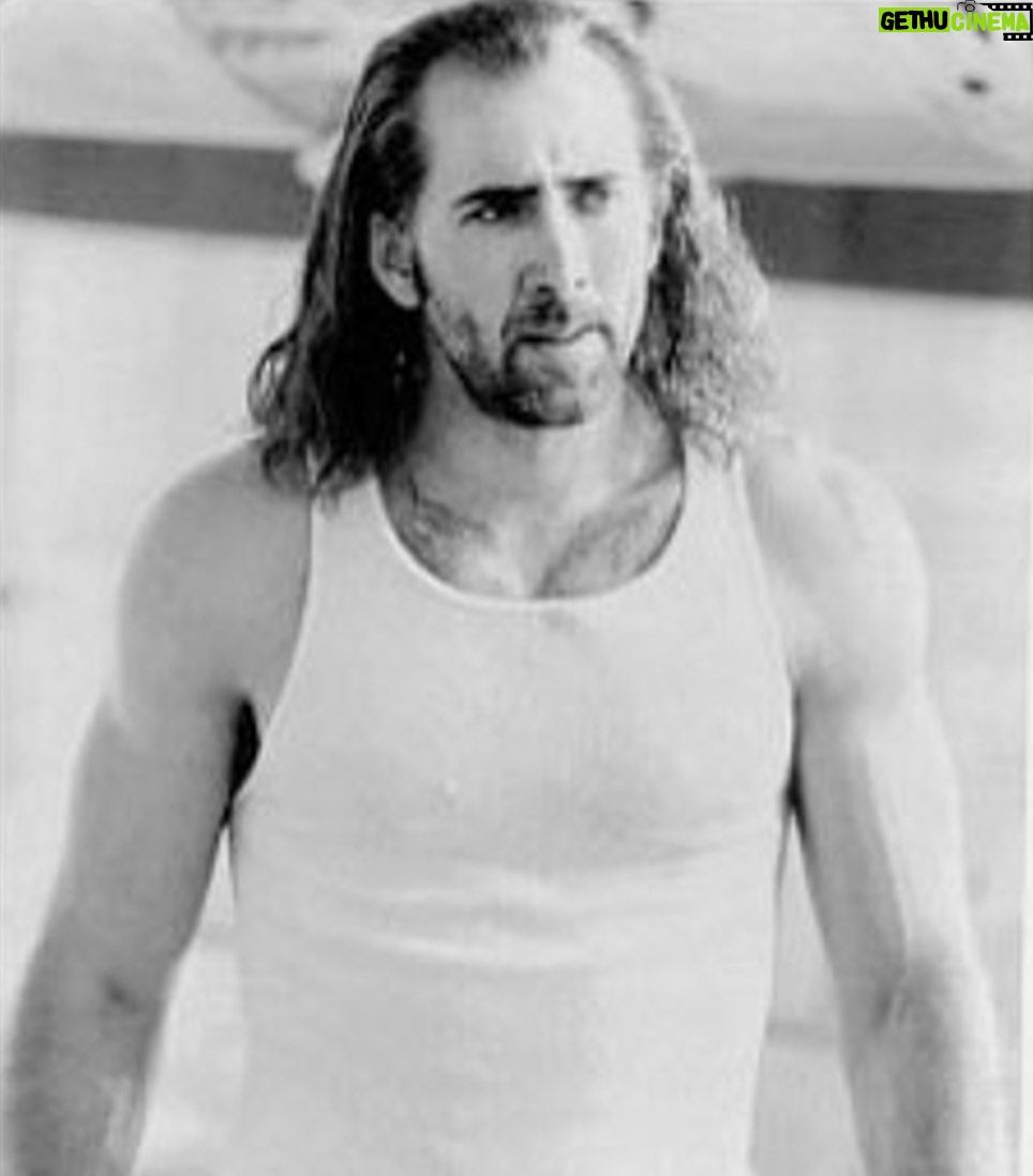 Aaron Rodgers - 353.3K Likes - Put...the...bunny...back in the box. #greatestactorofalltime
What do you think I'm gonna do? I'm gonna save the fuckin' day! #cameronpoe
#day1 #year18 #