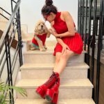 Aastha Gill Instagram – Tippy tippy tap, what colour you want? 
🧡➡️❤️➡️💗➡️💛

#AasthaGill #BellaGill #AGOG #twinningiswinning #twinning #cockerspaniel
