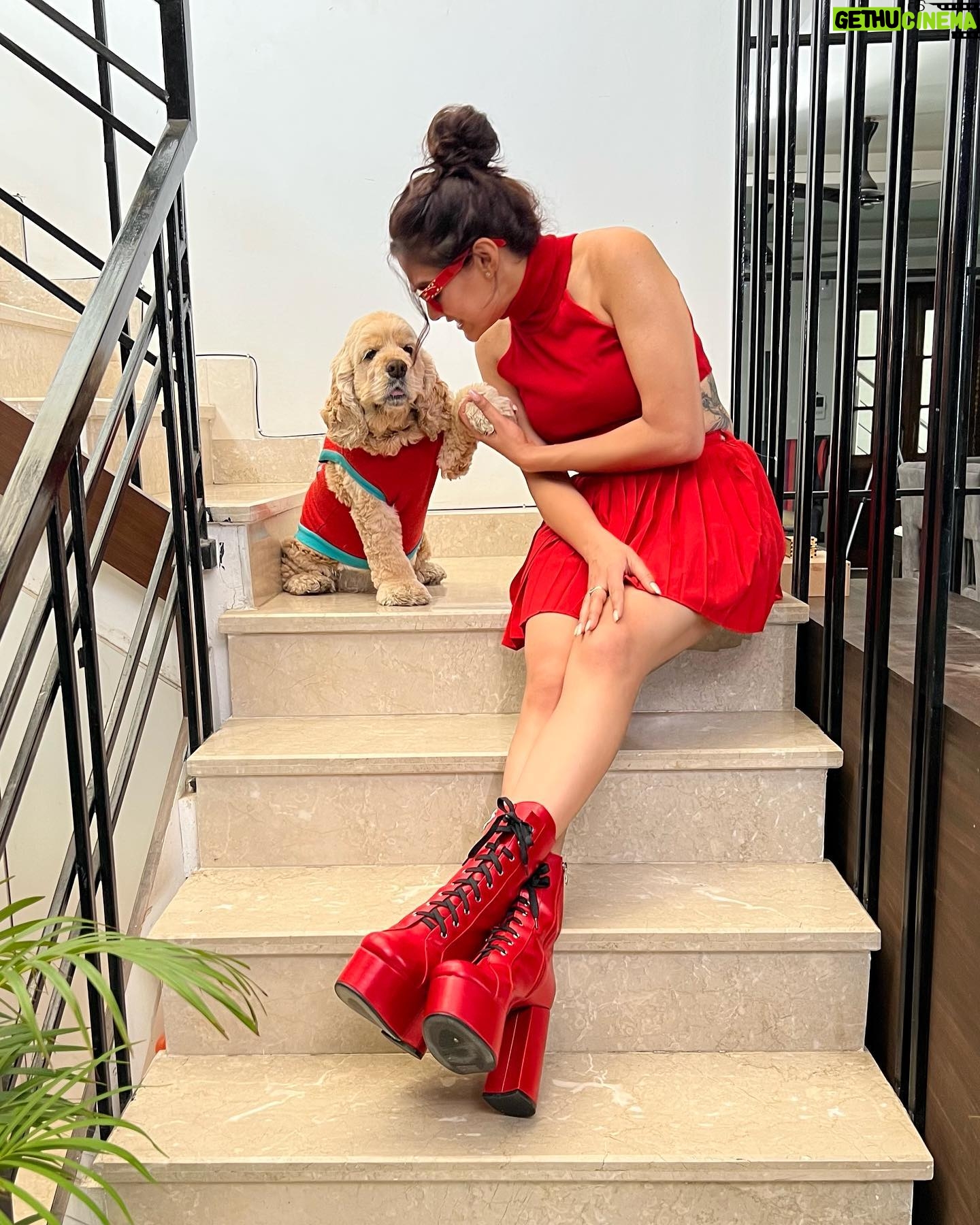 Aastha Gill - 34.4K Likes - Tippy tippy tap, what colour you want?
🧡➡️❤️➡️💗➡️💛
#AasthaGill #BellaGill #AGOG #twinningiswinning #twinning #cockerspaniel