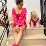 Aastha Gill Instagram – Tippy tippy tap, what colour you want? 
🧡➡️❤️➡️💗➡️💛

#AasthaGill #BellaGill #AGOG #twinningiswinning #twinning #cockerspaniel