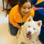 Aayushi Jaiswal Instagram - #petlovers #cute #missyousnow #cutebaby #newpost #saturday #saturdayvibes #goodevening #comments #followformore