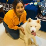 Aayushi Jaiswal Instagram - #petlovers #cute #missyousnow #cutebaby #newpost #saturday #saturdayvibes #goodevening #comments #followformore