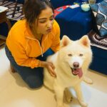Aayushi Jaiswal Instagram - #petlovers #cute #missyousnow #cutebaby #newpost #saturday #saturdayvibes #goodevening #comments #followformore