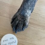 Abbi Jacobson Instagram - Hi all! I’m selling pins to raise $$ to help key state Supreme Court candidates in Ohio, North Carolina Michigan win in the midterms. In the coming years, these courts are all likely to rule on major issues like abortion, gerrymandering and environmental protections, and in each of these 3 courts, just one seat could change which side ends up in control. So…I’m making a lot of pins— I basically have a one-person pin factory over here. Come out to the in-person event next week, 10/18 at 5pm at @canyoncoffee in LA. You donate to the cause, ya get a PIN! It’s a win-pin. Good people, @goodboywine and a great cause. RSVP for the event at link in bio or here: https://linktr.ee/abbijacobson