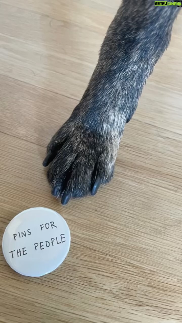 Abbi Jacobson Instagram - Hi all! I’m selling pins to raise $$ to help key state Supreme Court candidates in Ohio, North Carolina Michigan win in the midterms. In the coming years, these courts are all likely to rule on major issues like abortion, gerrymandering and environmental protections, and in each of these 3 courts, just one seat could change which side ends up in control. So…I’m making a lot of pins— I basically have a one-person pin factory over here. Come out to the in-person event next week, 10/18 at 5pm at @canyoncoffee in LA. You donate to the cause, ya get a PIN! It’s a win-pin. Good people, @goodboywine and a great cause. RSVP for the event at link in bio or here: https://linktr.ee/abbijacobson