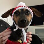 Abby Roberts Instagram - merry christmas from me and my son