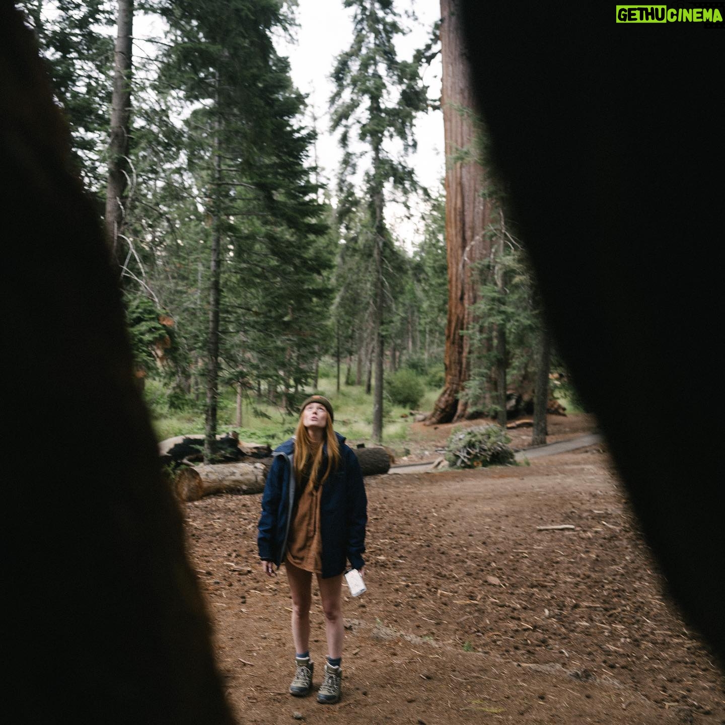 Abigail Cowen Instagram - just me & the trees happy as can be heheh pls leave me here