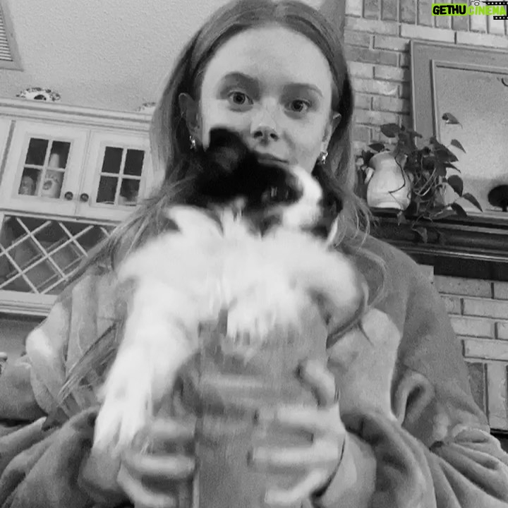 Abigail Cowen Instagram - This is an album on my phone called tiny little baby in tiny little spaces