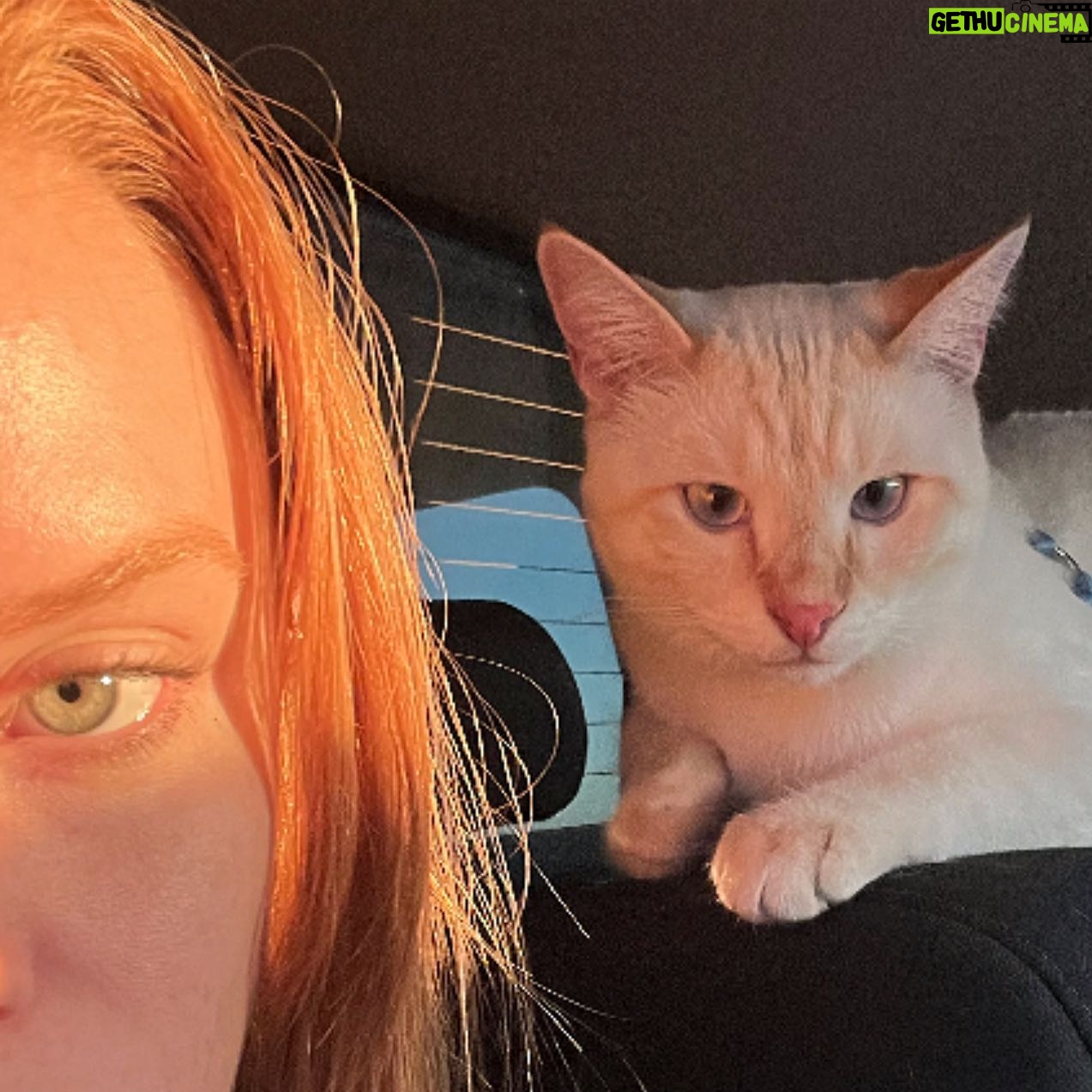 Abigail Cowen Instagram - out & about & a cute pic of my cat again