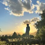 Abigail Spencer Instagram - Here comes the son. ☀️🌾🐛🪻🐝🍊. #ojaibes