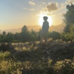 Abigail Spencer Instagram – Here comes the son.
☀️🌾🐛🪻🐝🍊. 
#ojaibes