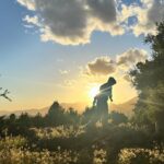 Abigail Spencer Instagram - Here comes the son. ☀️🌾🐛🪻🐝🍊. #ojaibes