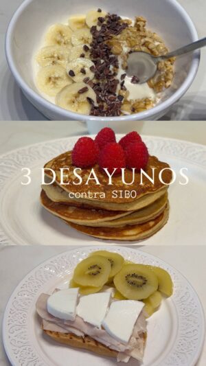 Adara Molinero Instagram - 3 DESAYUNOS CONTRA SIBO 🥞 🥯 

-Tortitas 
30g avena sin gluten 
1 plátano 
1 huevo 
1 café con bebida de avellanas (Mercadona) con 30g de proteína vegetal 
Frambuesas 

- Yogurt de coco de Alpro (vegetal) 
1 plátano 
Nueces 
Pepitas de cacao puro 
Café con bebida vegetal y 30g proteína vegetal 

-Tostada 
Queso de cabra fresco
Pavo
Pan de (candeal sarraceno) de la marca Leon the baker 
Café con bebida vegetal y 30g de proteína vegetal 

Mi nutri: @blancanutri 💘

Espero que os ayude el vídeo, besossss ♥️