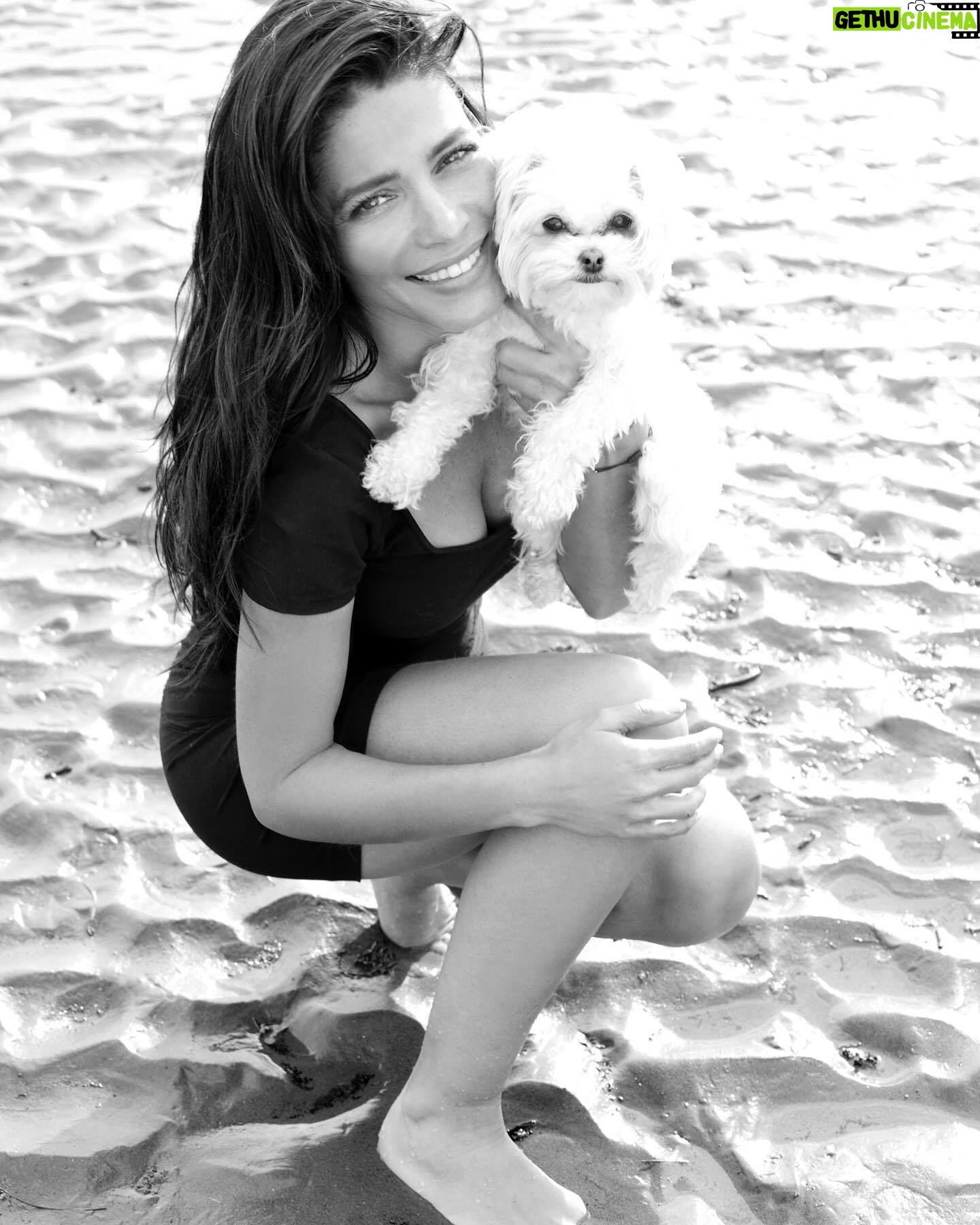 Adriana Fonseca Instagram - Cuando me hice: animal lover, perdí mi cabeza y encontré mi alma. ______ When I became animal lover I lost my head, but I found my soul. . . #animallover #lifestyle #cute #animales #jaguar #perro #ILoveMyDog #mexico