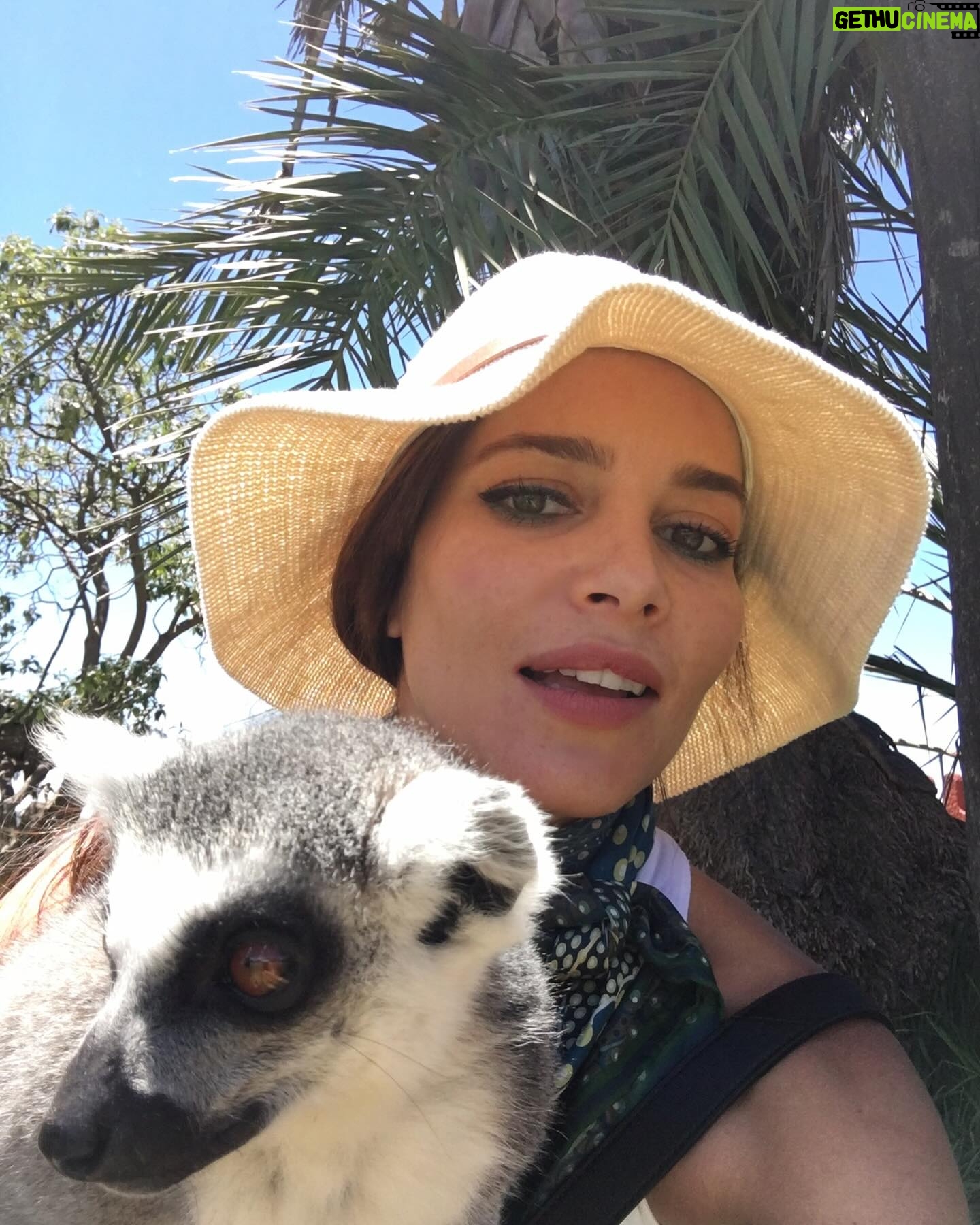 Adriana Fonseca Instagram - Cuando me hice: animal lover, perdí mi cabeza y encontré mi alma. ______ When I became animal lover I lost my head, but I found my soul. . . #animallover #lifestyle #cute #animales #jaguar #perro #ILoveMyDog #mexico