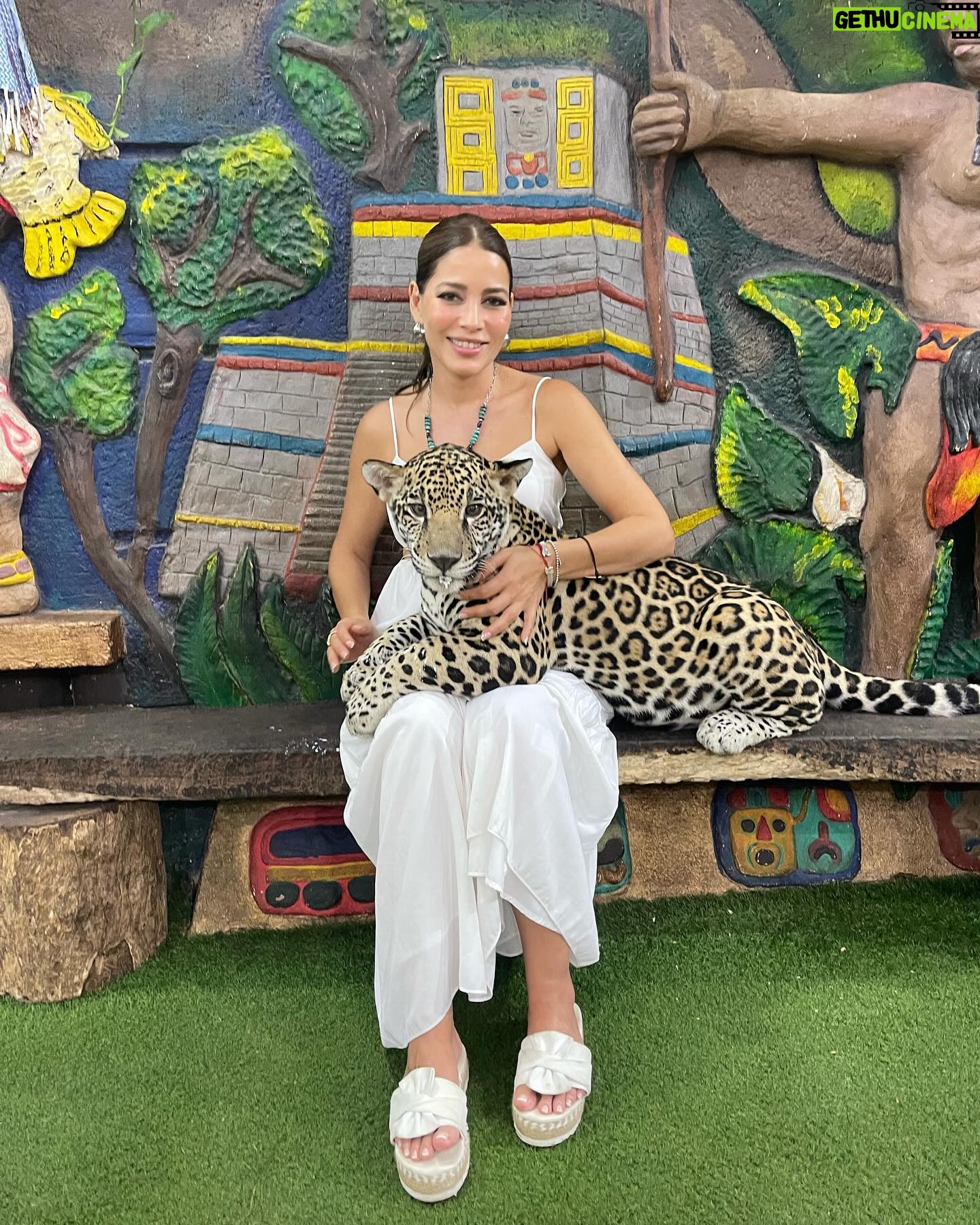 Adriana Fonseca Instagram - Cuando me hice: animal lover, perdí mi cabeza y encontré mi alma. ______ When I became animal lover I lost my head, but I found my soul. . . #animallover #lifestyle #cute #animales #jaguar #perro #ILoveMyDog #mexico